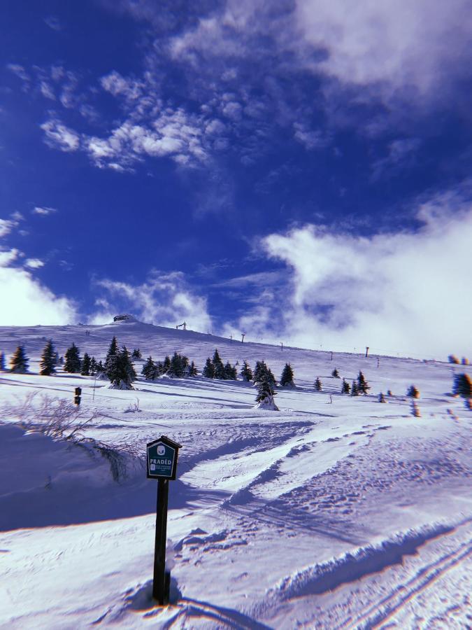 Chatavjesenikach Vrbno pod Pradědem Dış mekan fotoğraf